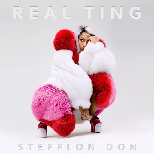 STEFFLON DON - Real Ting